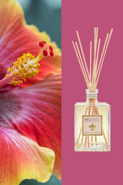 RAUMDUFT HIBISKUS & SANDELHOLZ - Sprühflasche