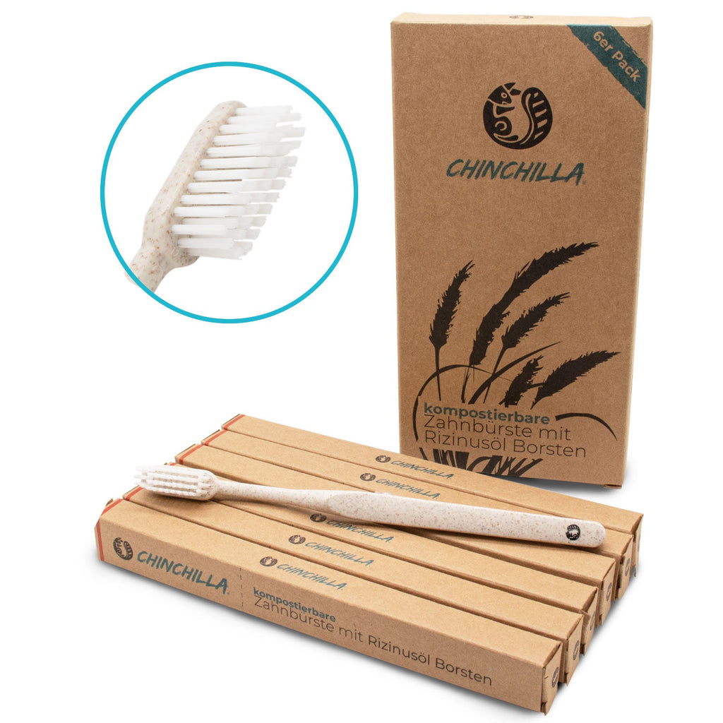 6 BROSSES À DENTS - MANCHE DE PAILLE DE BLÉ ET POILS À L`HUILE DE RICIN