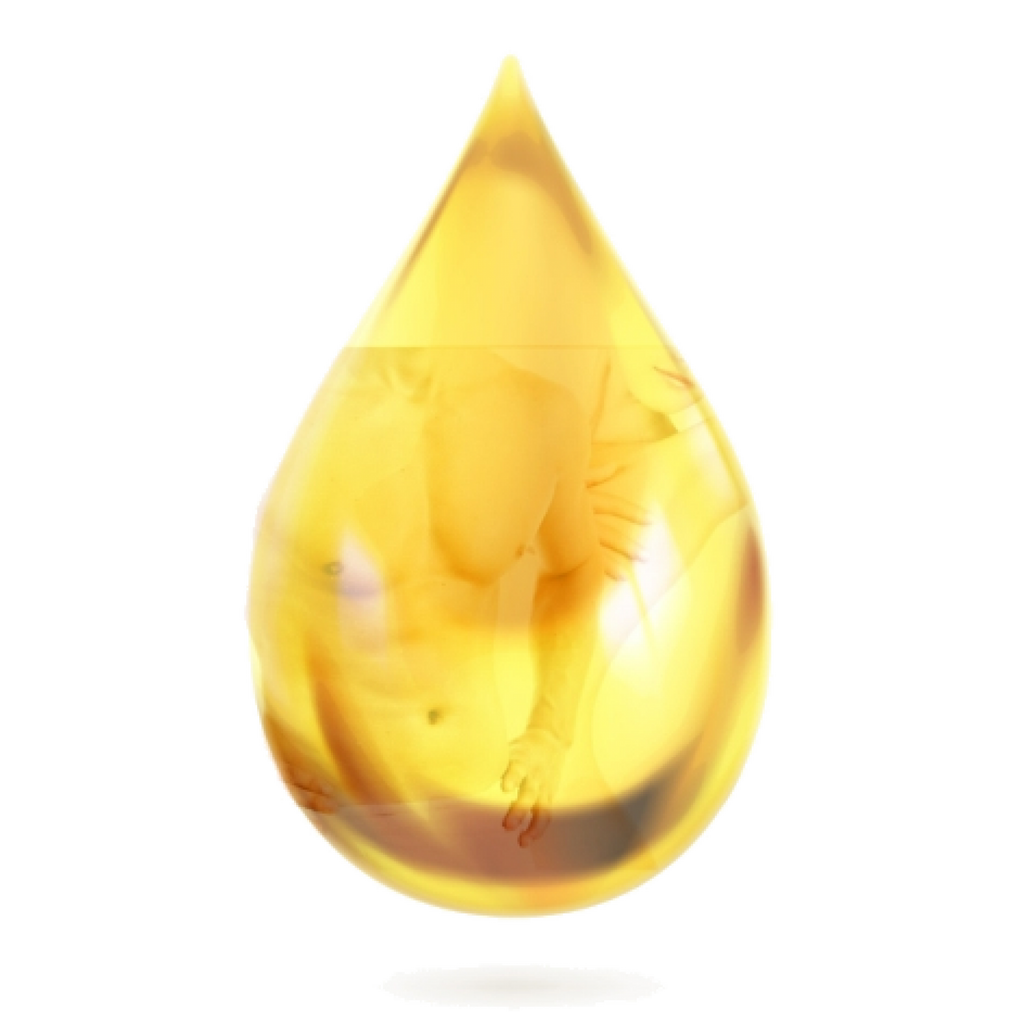 BIO HUILE D'AGRUMES 20 ml